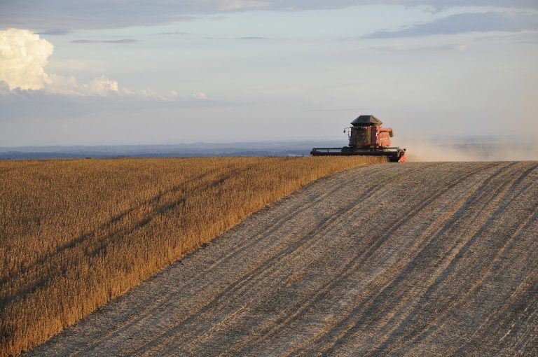 harvest, soy, plantation-1543064.jpg